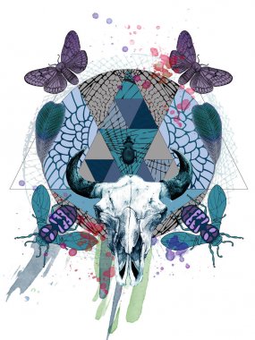 böcekler ile hayvan kafatası