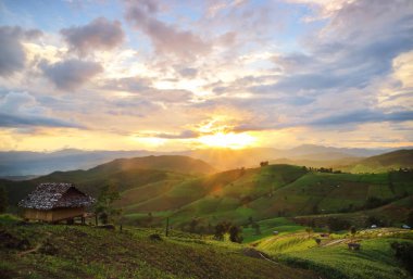 Beyaz arka plan üzerinde izole taze karabiber sebzeler