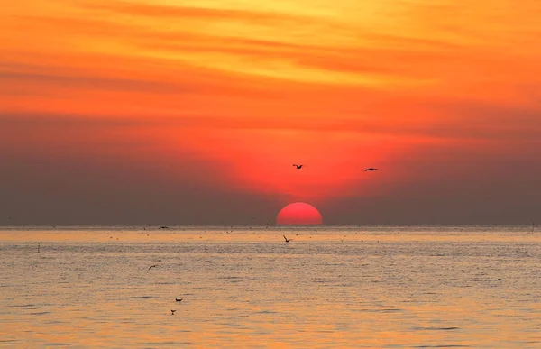 Alba sul mare e bel cielo — Foto Stock