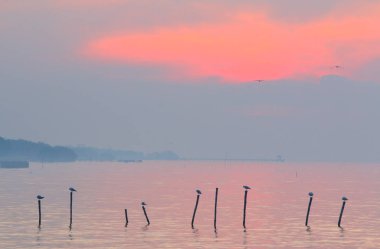 sunrise güzel gökyüzüne.