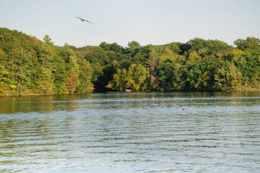 Sonbaharda New İngiltere'ye geliyor