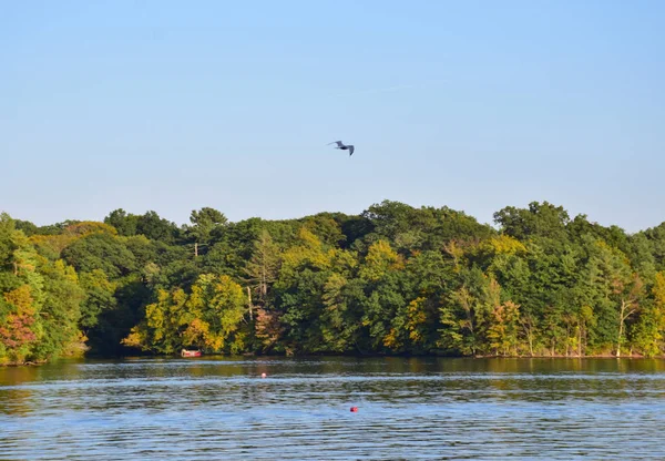 Sonbaharda New İngiltere'ye geliyor