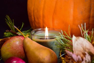 Mutlu Şükran günü tatil