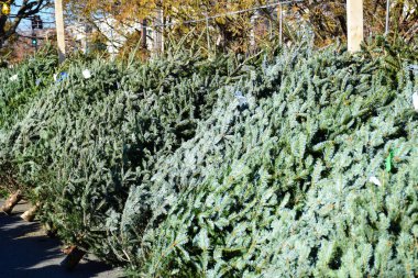 Noel tatili yaklaşıyor