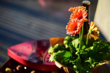 İkinci yarı için hediye