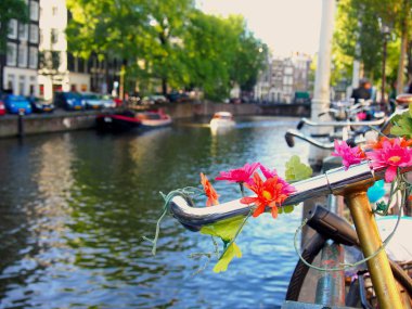 Amsterdam'da rengârenk çiçeklerle süslenmiş Bisiklet