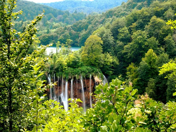 Cascades cachées parmi les arbres — Photo