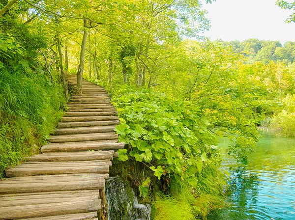 yokuş yukarı ahşap güverte