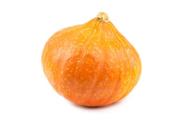 beyaz arkaplanda kabak