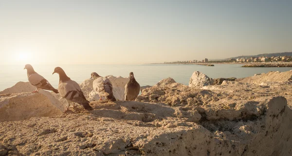 Sahilinde San Benedetto del Tronto - İtalya — Stok fotoğraf