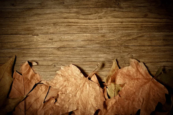 Dry leaves on wood Stock Photo