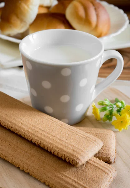 Xícara de leite um biscoito seco — Fotografia de Stock