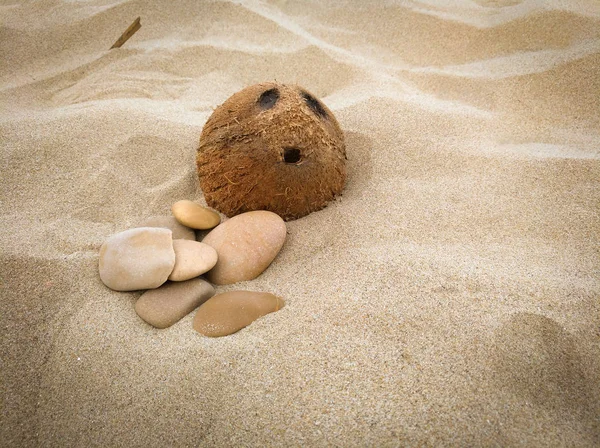 Кокосовое лицо на песке с камнями — стоковое фото
