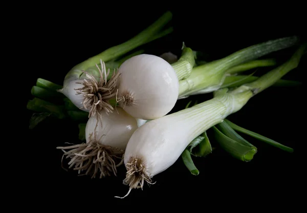 Spring onions on black background — Stock Photo, Image