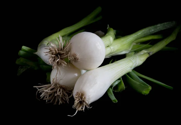 Cebolas de primavera no fundo preto — Fotografia de Stock