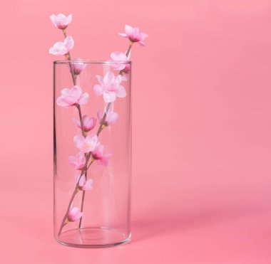 Pembe çiçekler arka plan