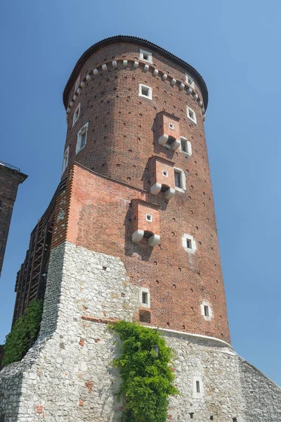 :Wawel Royal Castle - Krakow - Polonya — Stok fotoğraf