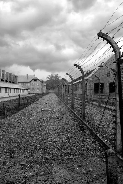 Holokost Anma Auschwitz - Birkenau - Polonya