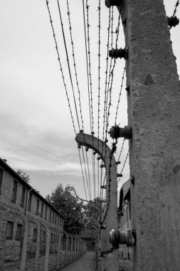Holokost Anma Auschwitz - Birkenau - Polonya