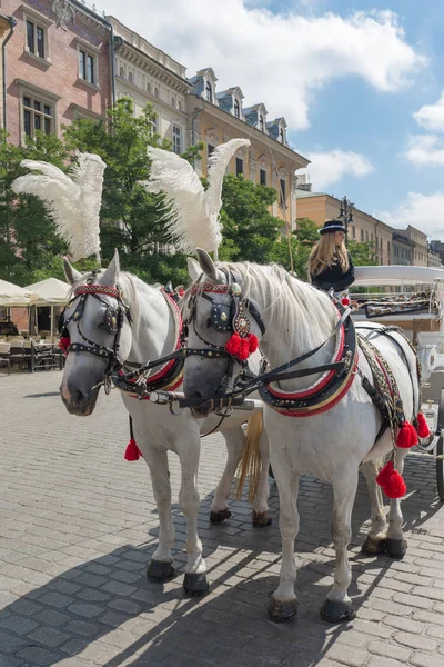 Carruaje típico tirado por caballos - Cracovia - Polonia — Foto de Stock