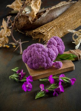 Sonbahar arkaplanındaki mor mor lahanayı yaz