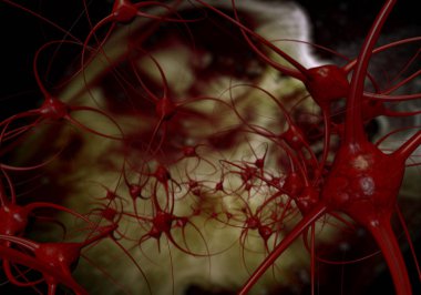 Fantezi sinir hücrelerinin 3 boyutlu canlandırması