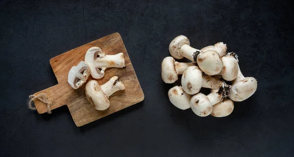 Fresco Recém Colhidos Cogumelos Champignon Fundo Abstrato Cinza Escuro — Fotografia de Stock