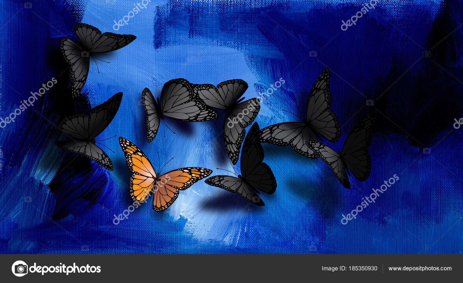 Butterfly black background Stock Photos, Royalty Free Butterfly black  background Images | Depositphotos