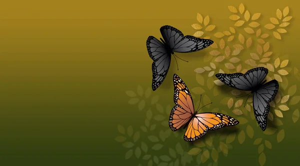 일반적인 나비에 의해 직면 하는 특별 한 나비 — 스톡 사진