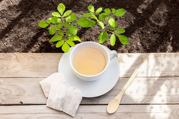 Infusion and Moringa seedlings on wood and earth background. Front view - Moringa Oleifera