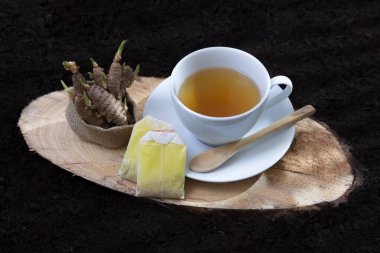 İçinde zerdeçal tohumu olan bir kap, tohum filizinin yanında toprak zeminli bir çam ağacının kütüğünün üzerinde duruyor.