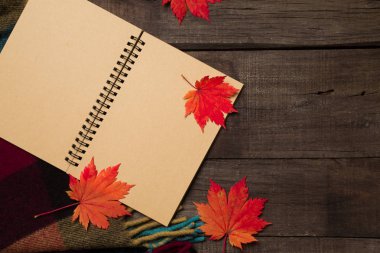 Ekose ile eski vintage ahşap arka plan üzerinde yaprak.