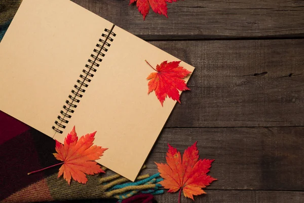 Ekose ile eski vintage ahşap arka plan üzerinde yaprak.