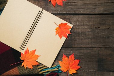 Ekose ile eski vintage ahşap arka plan üzerinde yaprak.