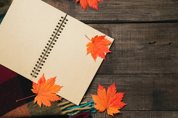 Ekose ile eski vintage ahşap arka plan üzerinde yaprak.