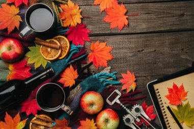 Sonbahar yaprakları, iki bardak şarap, Kırmızı elma ile ekose eski vintage ahşap arka plan üzerinde.