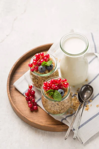 自家製グラノーラや健康的な朝食食材 ミルクと白い背景の上の果実 — ストック写真