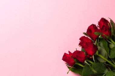 Güllü pembe arkaplan