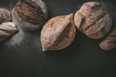 Çeşitli seçim düz-lay ekmek. Tahıllı rustik ekmek gri arka plan üzerine. Görünümü en çok, uzay kopyalayın. Yatay kompozisyon