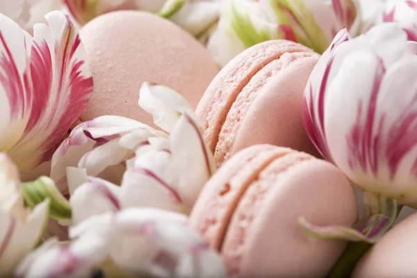 Cake macaron or macaroon and tulips, pastel colors, soft focus — Stock Photo, Image