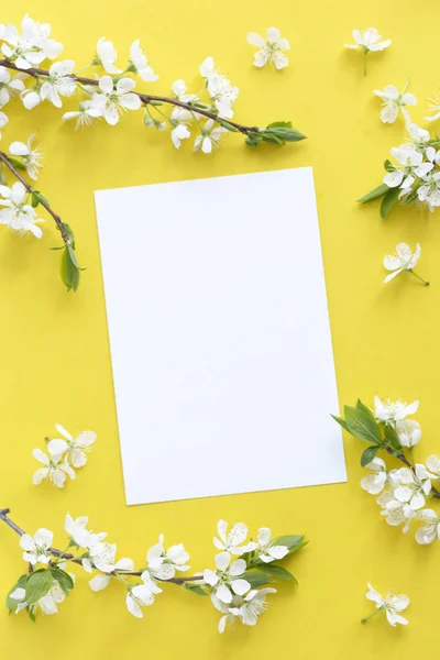Spring concept. Flat-lay of blossom and card over light yellow background, top view with space for your text