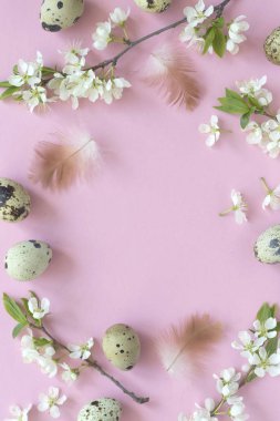 Backgroundwith yumurta ve çiçeği üzerinde açık pembe pastel renkli, senin tex için alanı olan Üstten Görünüm