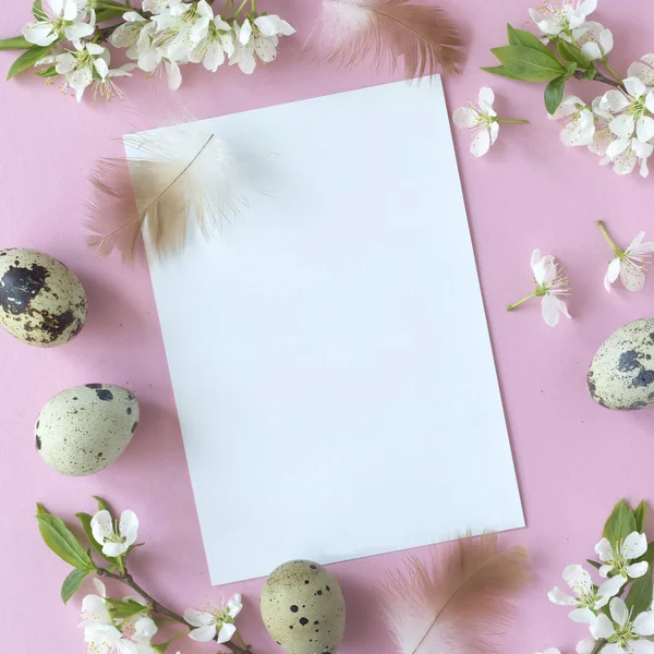 Flat-lay of eggs and blossom over light pink pastel background, top view with space for your text