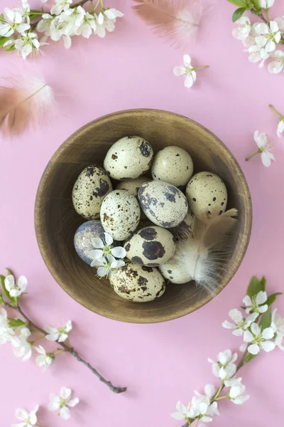 Flat-lay of eggs and blossom over light pink pastel background, top view with space for your text