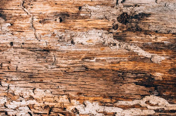 Fundo de madeira, textura agradável — Fotografia de Stock