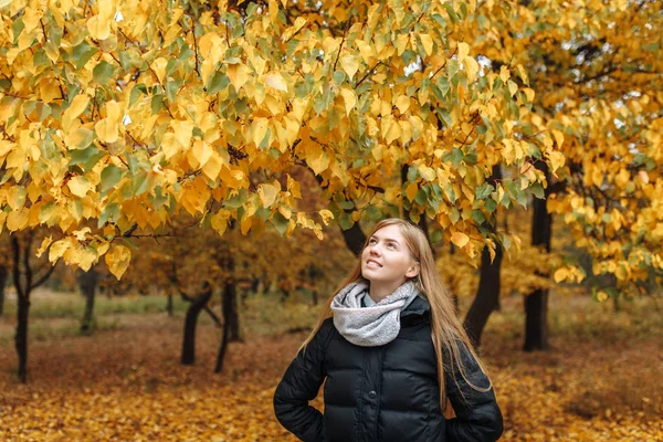 Retrato de uma menina bonita, doce e alegre que caminha no Parque na temporada de outono — Fotografia de Stock