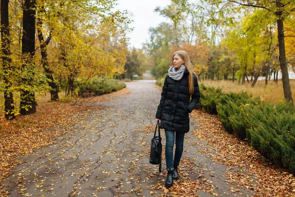 Retrato de uma menina bonita, doce e alegre que caminha no Parque na temporada de outono — Fotografia de Stock