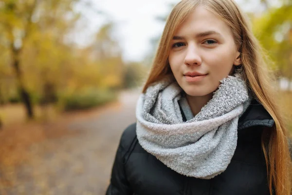 Retrato de uma menina bonita, doce e alegre que caminha no Parque na temporada de outono — Fotografia de Stock