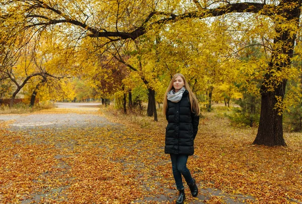 Ritratto di una bella, dolce, allegra ragazza che passeggia nel Parco in autunno — Foto Stock