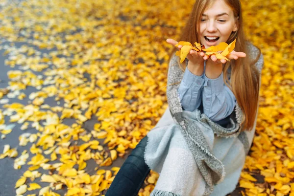 Retrato de uma menina bonita, doce e alegre que caminha no Parque na temporada de outono — Fotografia de Stock